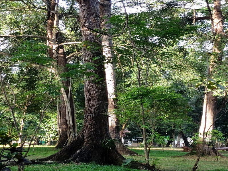 Adiwiyata Nasional 6